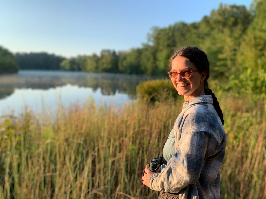 There and back again Brush